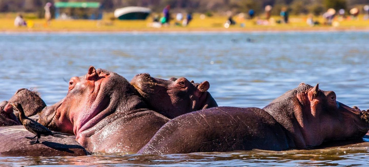 Top Lakes in Africa